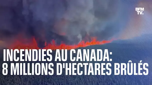 8 millions d'hectares de forêt partis en fumée au Canada: voici ce que ça représente