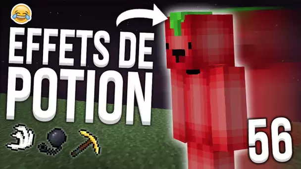 ON MET DES EFFETS DE POTION AU HASARD AUX JOUEURS ! - Episode 56 | Admin Series - Paladium