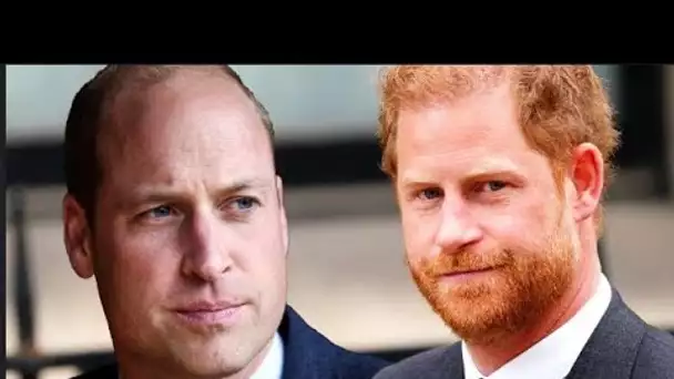 Le prince Harry « ressent le froid » de William alors que le futur roi « opposera son veto à tout re