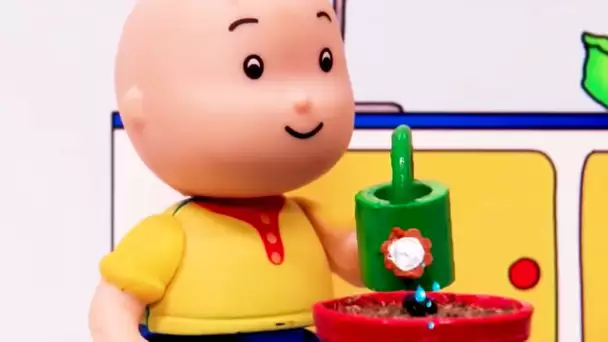 Caillou et la Fleur | Caillou en Français