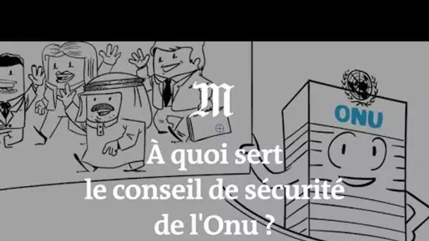 A quoi sert le Conseil de sécurité de l'ONU ?