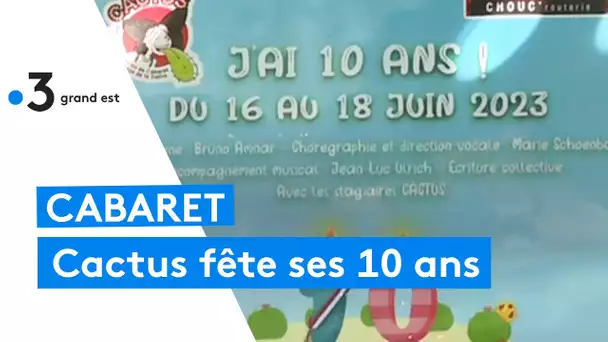 Cactus, école-cabaret fête ses 10 ans