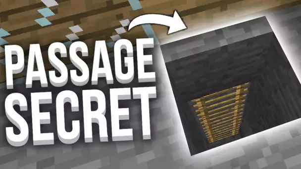 LES MEILLEURS PASSAGES SECRETS SUR MINECRAFT !