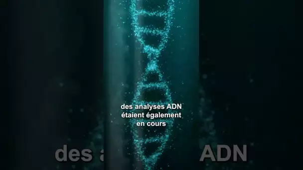 Meurtre de Louise : le principal suspect confondu par son ADN