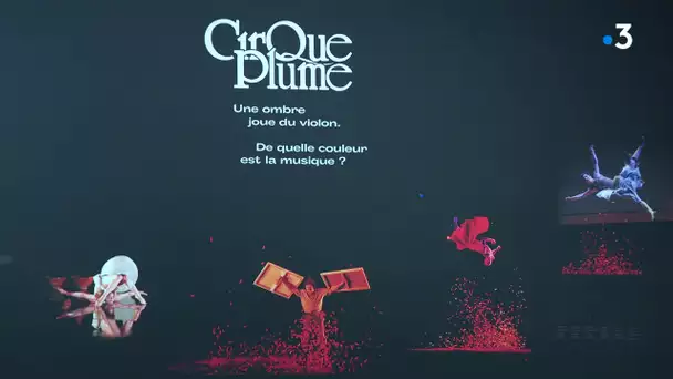 Cirque Plume : exposition sur l'histoire du cirque à la Saline Royale d'Arc-et-Senans