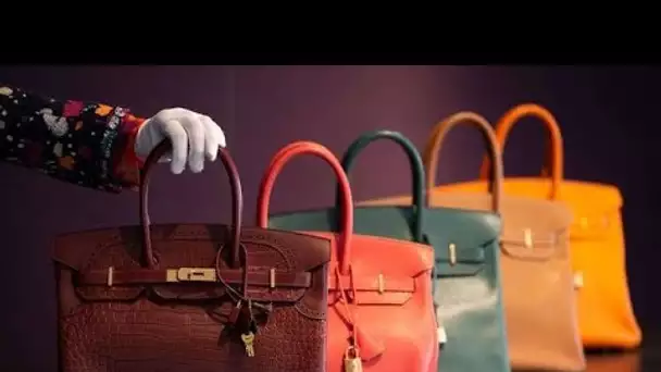 Hermès  Le groupe de luxe attaque un artiste qui vend des NFT représentant des sacs Birkin