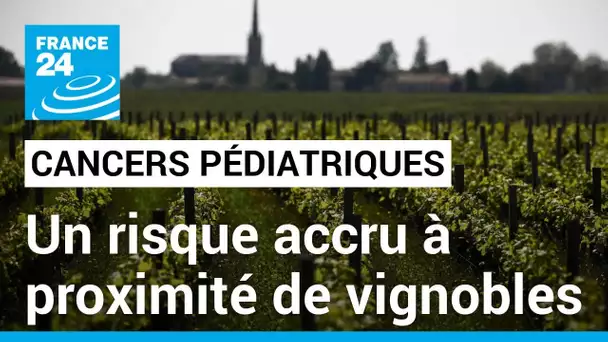 L'INSERM pointe du doigt le lien entre risque de leucémies et proximité de vignobles • FRANCE 24
