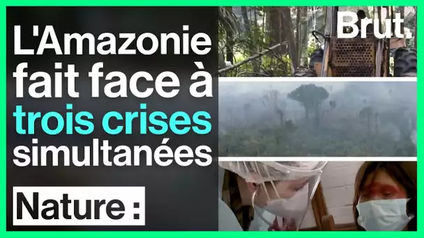 L'Amazonie fait face à trois crises simultanées