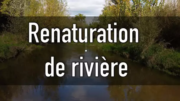 La renaturation des rivières, une solution pour retrouver un bon état des eaux