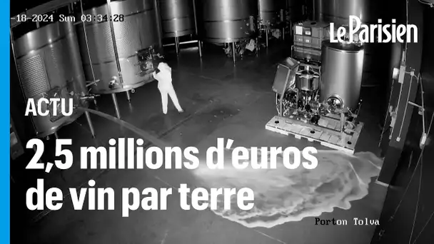 Espagne : 2,5 millions d'euros de vin déversés au sol dans un acte de vandalisme