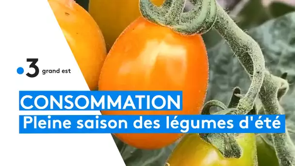 La pleine saison des légumes d'Alsace