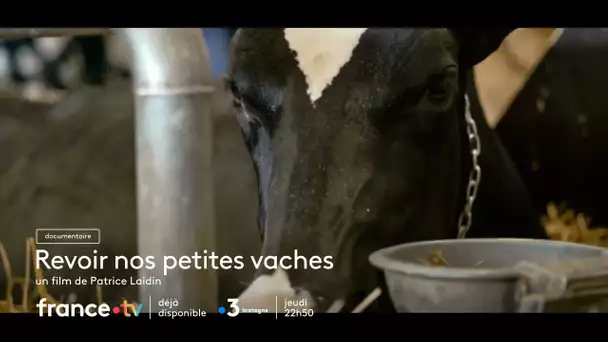 [Bande annonce] Revoir nos petites vaches