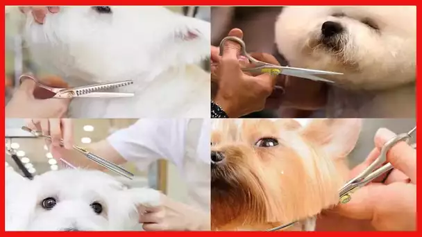 *LONGMON 7/7.5/8inch Dog Grooming Scissors 440c Stainless Steel Grooming Scissors With Adjustable