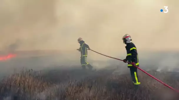 Sécheresse et feux de champs : les pompiers de la Somme multiplient les interventions