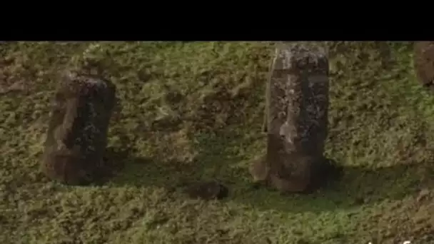 Chili, Île de Pâques : statues près du volcan Rano Raraku