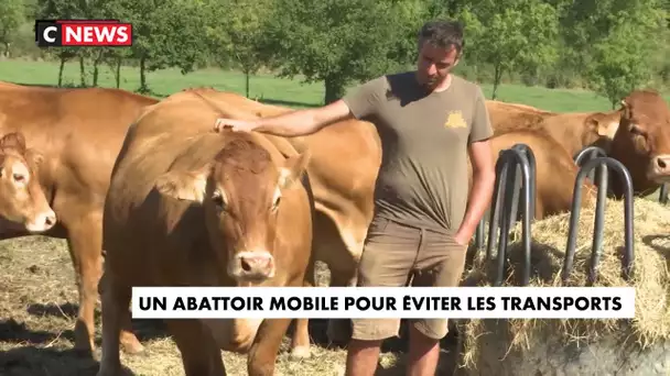 Un abattoir mobile pour éviter les transports