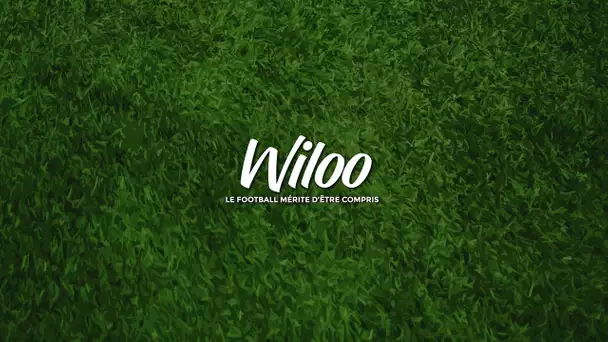 Wiloo Live Stream