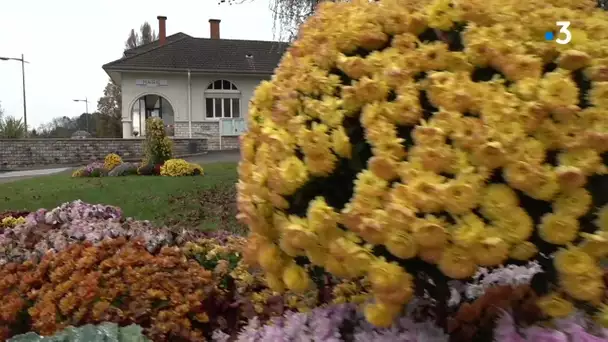 Rendez-vous chez vous à Châtenoy-le-Royal