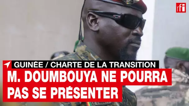 Guinée : les points clés de la charte de la transition dévoilés par la junte • RFI
