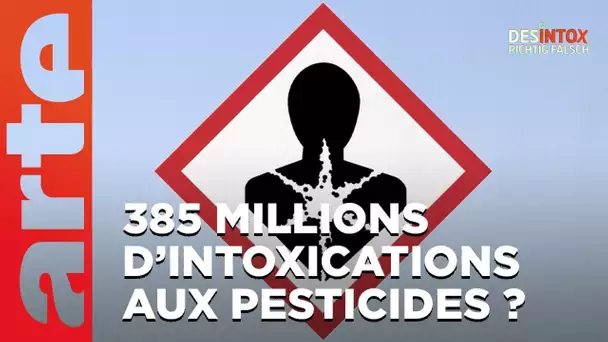 385 millions de personnes par an intoxiquées aux pesticides ? - Désintox | ARTE