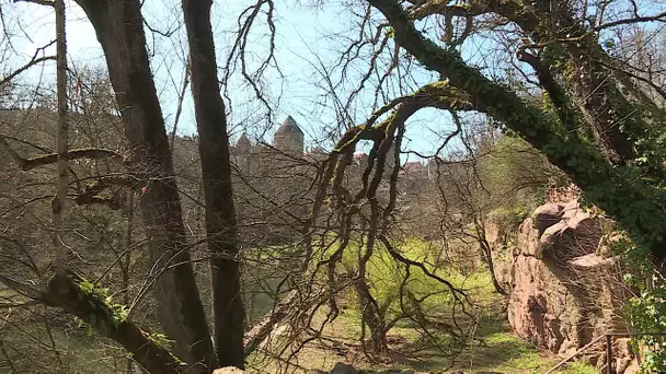 Côte-d'Or : ils redécouvrent le parc Joly, un jardin oublié à Semur-en-Auxois