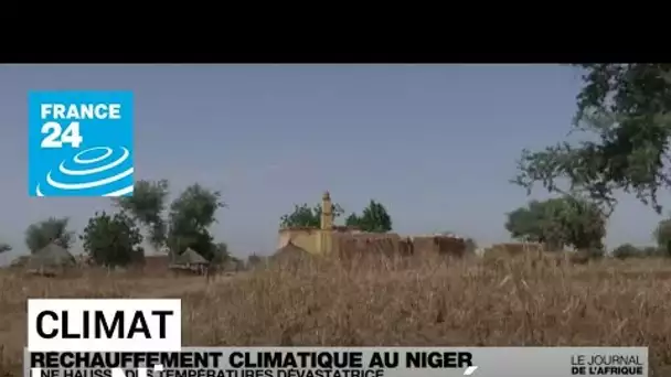 Réchauffement climatique au Niger : une hausse des température dévastatrices • FRANCE 24