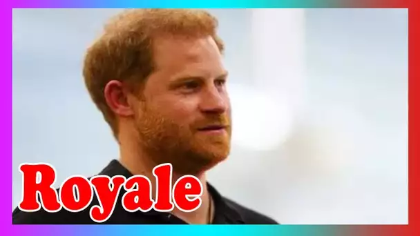 Le prince Harry s'est défendu après que Duke ait été invité à ''donner l'exemple''