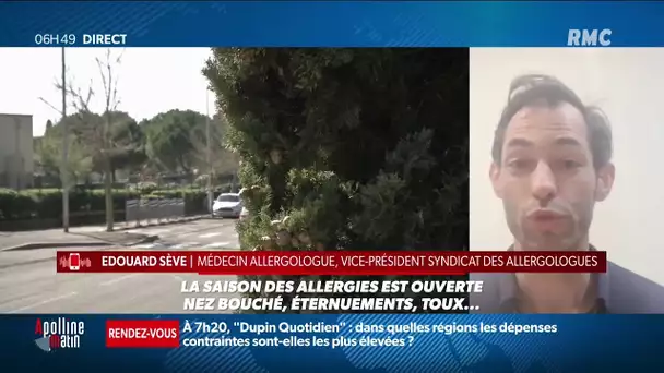 La saison des allergies est lancée !