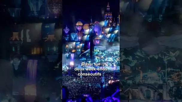 Tomorrowland : le festival est maintenu malgré l'incendie