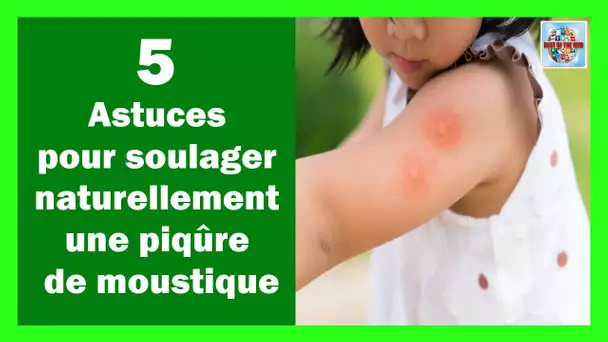 5 astuces pour soulager naturellement une piqûre de moustique