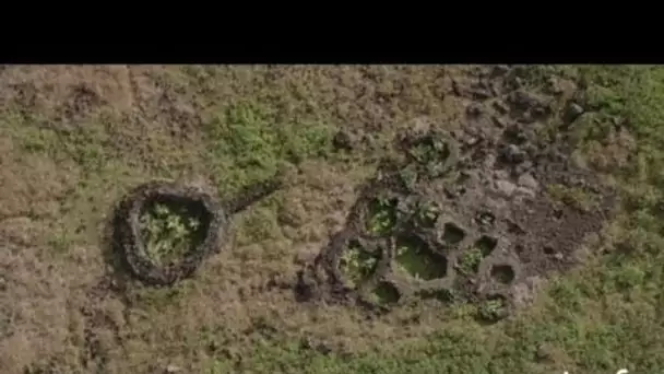 Chili, Île de Pâques : jardins clos - archive vidéo INA