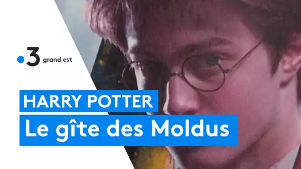 Harry Potter : les moldus ouvrent un gîte