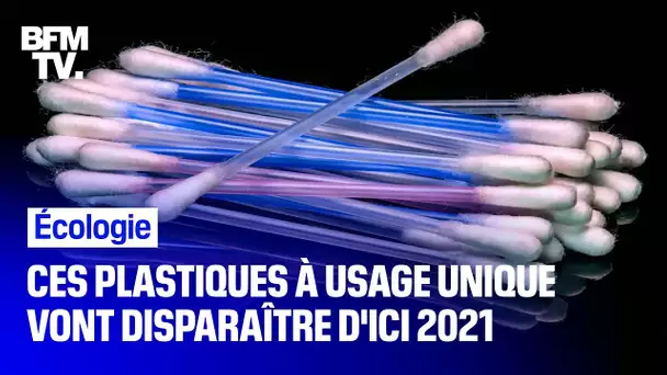 Ces plastiques à usage unique vont progressivement disparaître d’ici 2021