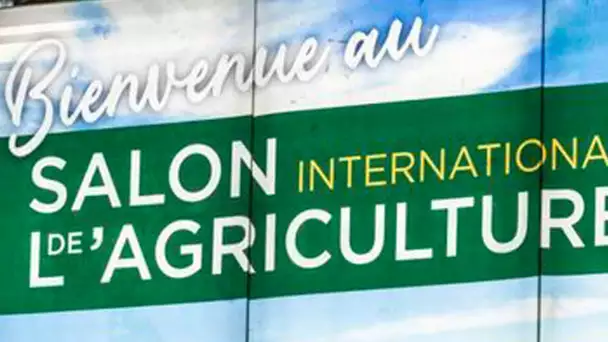 Crise agricole : Carrefour annule sa présence au Salon de l’Agriculture