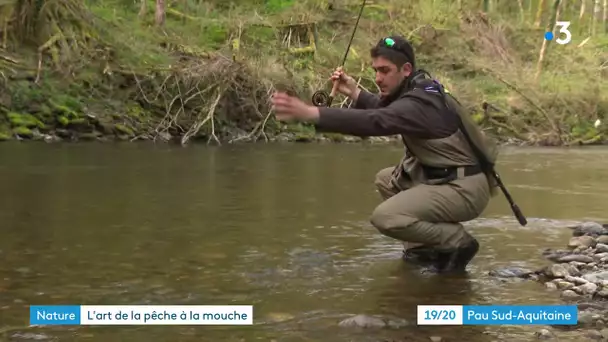 Pêche à la mouche rivière le Lourdios