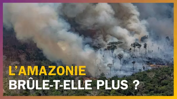 L'Amazonie brûle-t-elle plus qu'avant ?