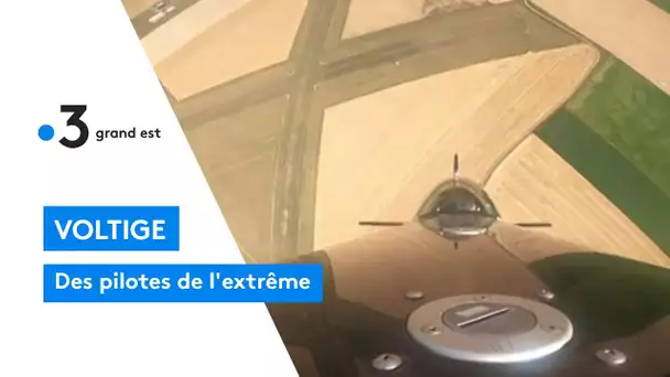Voltige : des pilotes de l'extrême