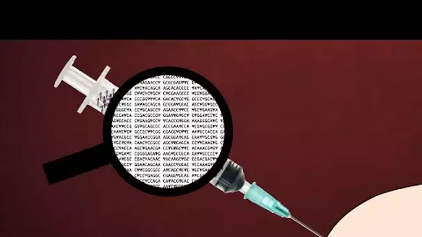 Que contient l'ARN des vaccins ?