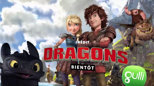 DRAGONS : PAR-DELÀ LES RIVES Saison 4, c&#039;est inédit sur Gulli et ça arrive très bientôt !