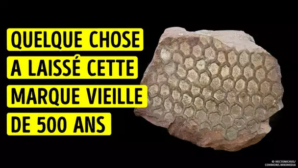 Qu’est-ce qui a Créé cette Marque Bizarre Vieille de 500 Millions d’Années ?