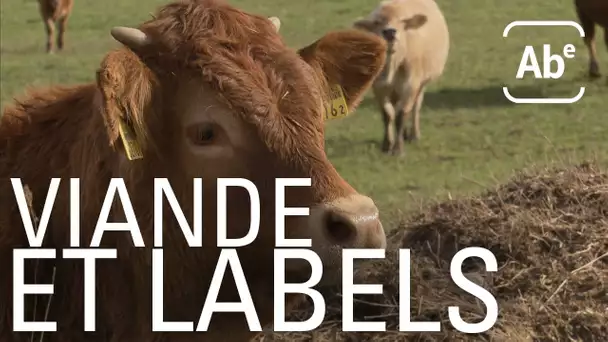 Viande suisse : la jungle des labels. ABE-RTS