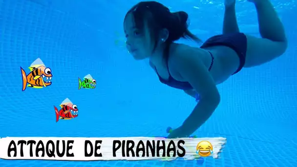 DES PIRANHAS DANS LA PISCINE 😂  / Haul Piscine / Family vlog