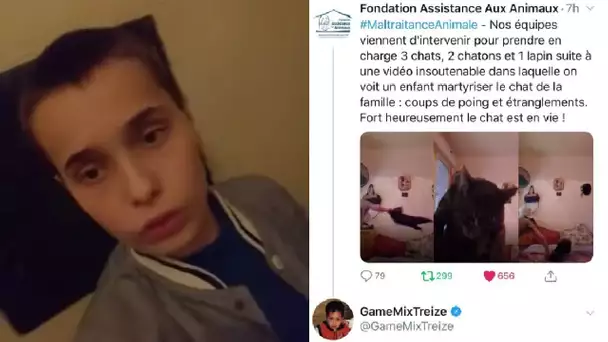 L’ABONNÉ QUI A MALTRAITÉ LE CHAT A ÉTÉ ENFIN SANCTIONNÉ AVEC SA MÈRE