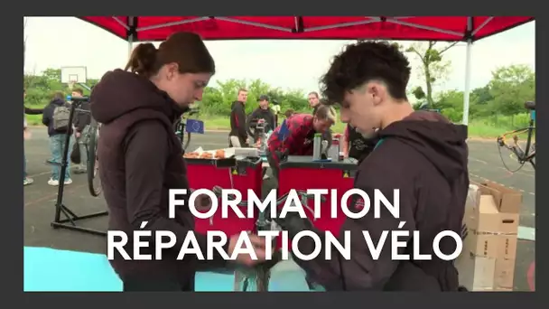 Devenir Conseiller Technique Cycle : une formation en plein essor à Saint-Benoît