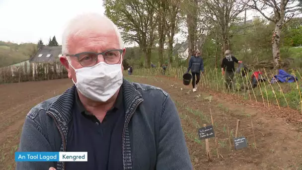 Un jardin solidaire à Callac pour les Restos du coeur et le Secours populaire