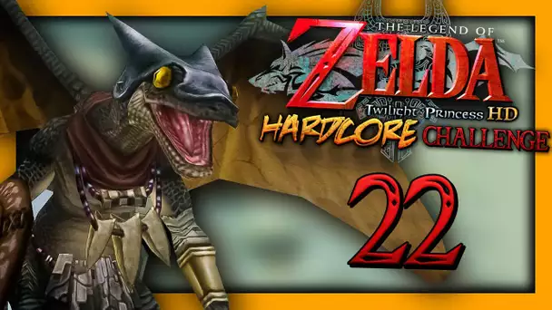 ZELDA TP HARDCORE : LA GALÈRE RECOMMENCE ! #22