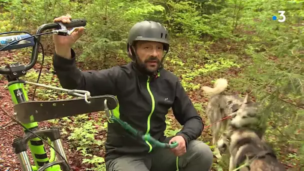 Haut-Jura : le confinement pour un musher et ses 22 chiens de traineaux