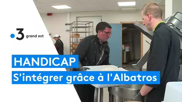 Autistes ou déficients intellectuels, ils prennent leur envol grâce à l'Albatros