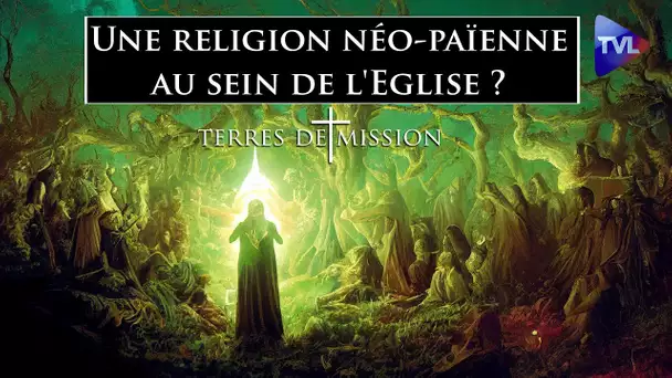 Une dérive idolâtrique au sein de l'Eglise ? - Terres de Mission n°282 - TVL