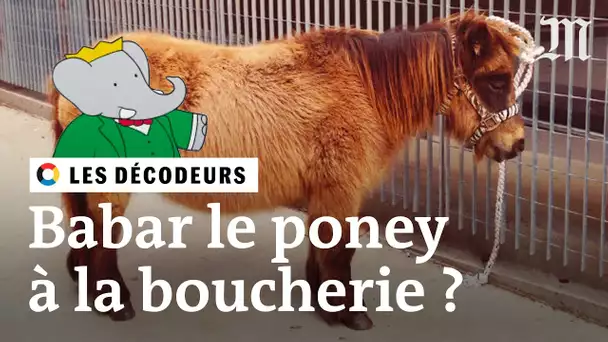 « Babar le poney » à la boucherie : itinéraire d’une information blanchie #LesDécodeurs